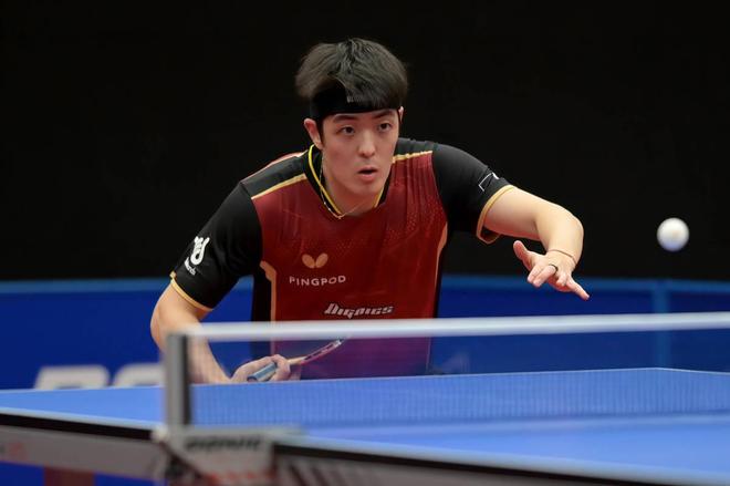 本届赛事从 本届赛事从