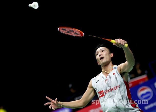 不会坚持到 不会坚持到